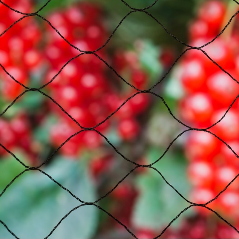 Tuinnet, antivogelnet 10 x 2 meter
