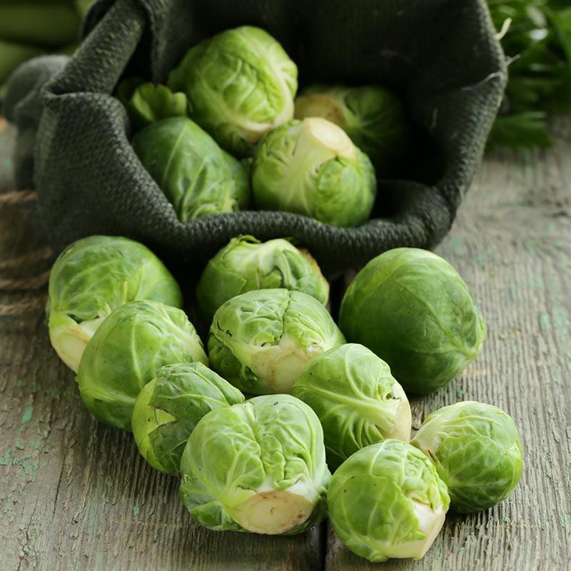 Spruitkool 'Groninger', Brassica oleracea -zaden-