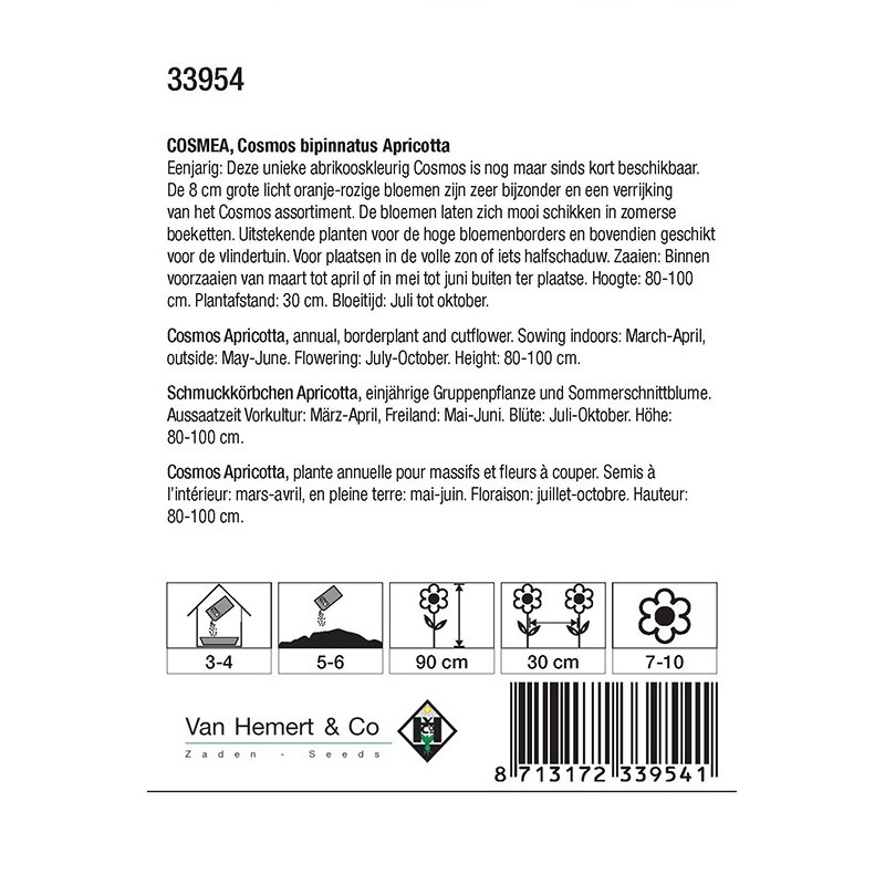 Cosmos bipinnatus 'Apricotta'  -zaden-