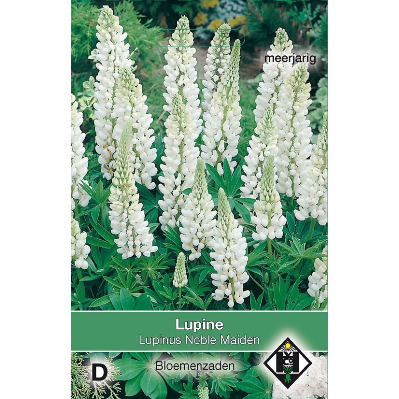 Lupinus polyphyllus 'Noble Maiden' -zaden-