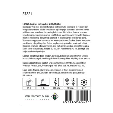 Lupinus polyphyllus 'Noble Maiden' -zaden-