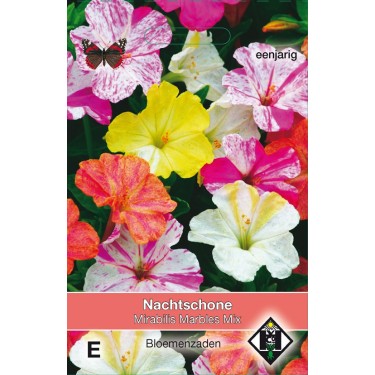 Mirabilis jalapa 'Marbles Mix' -zaden-