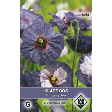 Papaver rhoeas 'Amazing Grey' -zaden-