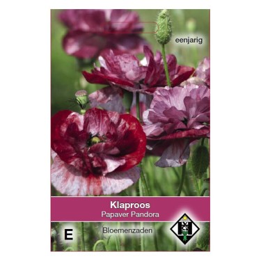 Papaver rhoeas 'Pandora' -zaden-