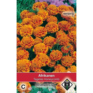 Tagetes patula nana 'Honeycomb' -zaden-