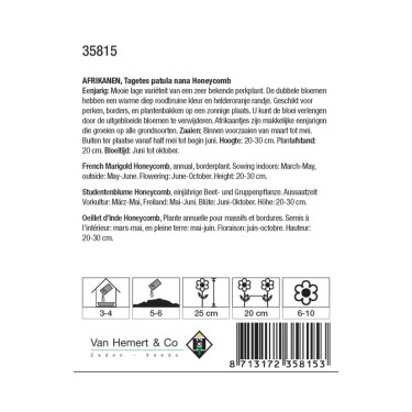 Tagetes patula nana 'Honeycomb' -zaden-