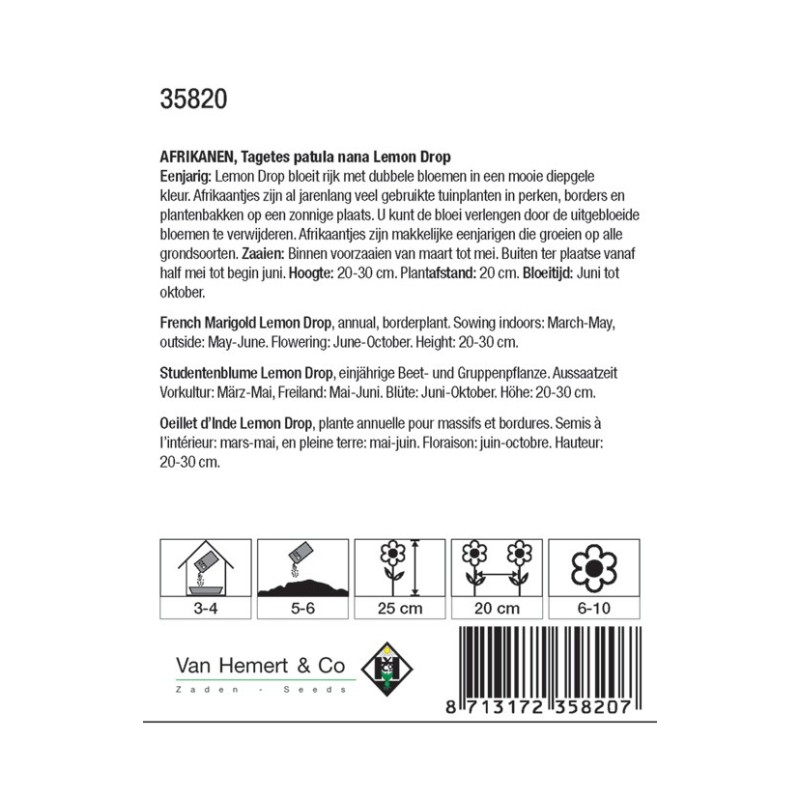 Tagetes patula nana 'Lemon Drop' -zaden-