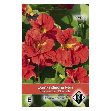 Tropaeolum majus nanum 'Cherelle' -zaden-