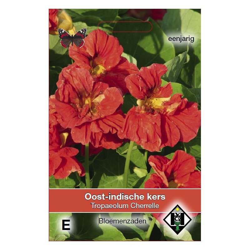 Tropaeolum majus nanum 'Cherelle' -zaden-