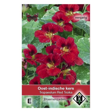 Tropaeolum majus nanum 'Red Troika' -zaden-