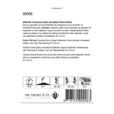 Andijvie, Cichorium endivia 'Breedblad Volhart Winter' -zaden-