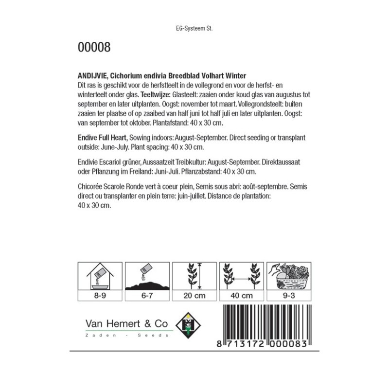Andijvie, Cichorium endivia 'Breedblad Volhart Winter' -zaden-