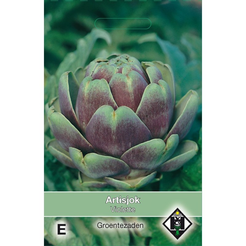 Artisjok, Cynara scolymus 'Violette' -zaden-