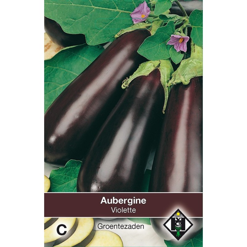 Aubergine, Solanum melongena 'Halflange Violette' -zaden-