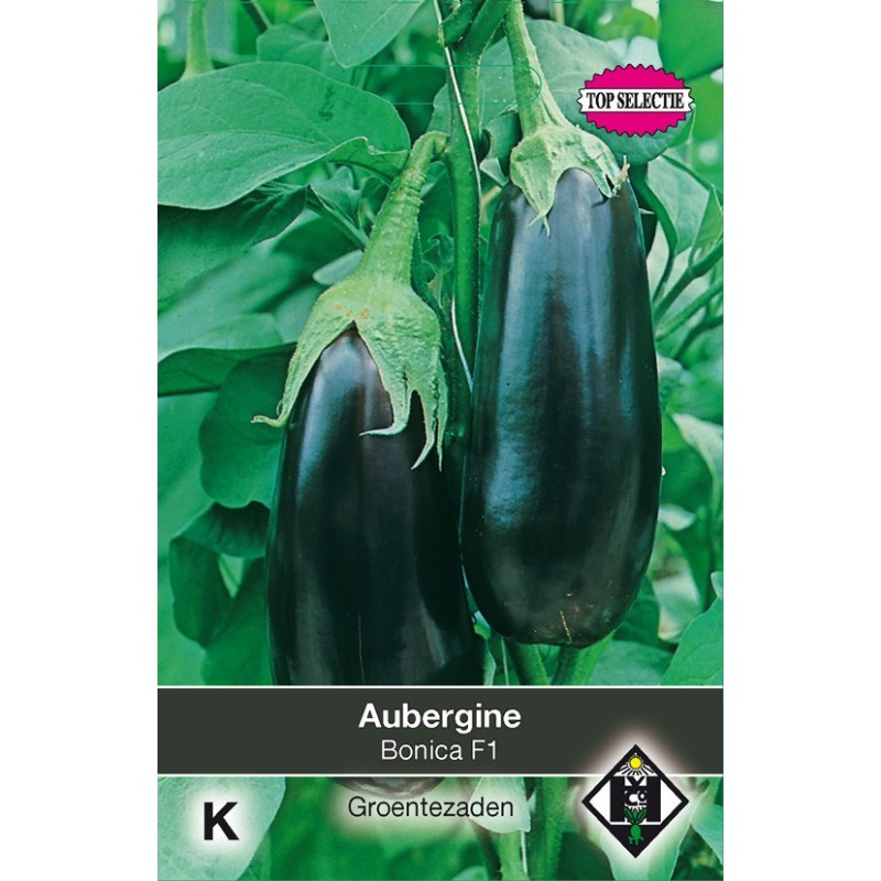 Aubergine Bonica F1 -zaden-