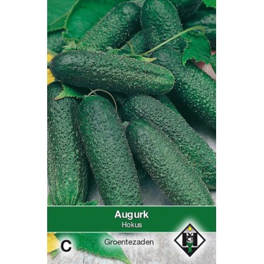 Augurk, Cucumis sativus 'Hokus' -zaden-