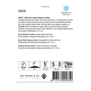 Biet - Kroot, Beta vulgaris 'Burpees Golden' -zaden-