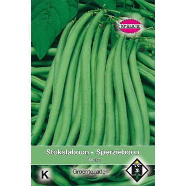 Stokslaboon - Sperzieboon, Phaseolus vulgaris 'Cobra', 30 gr. -zaden-