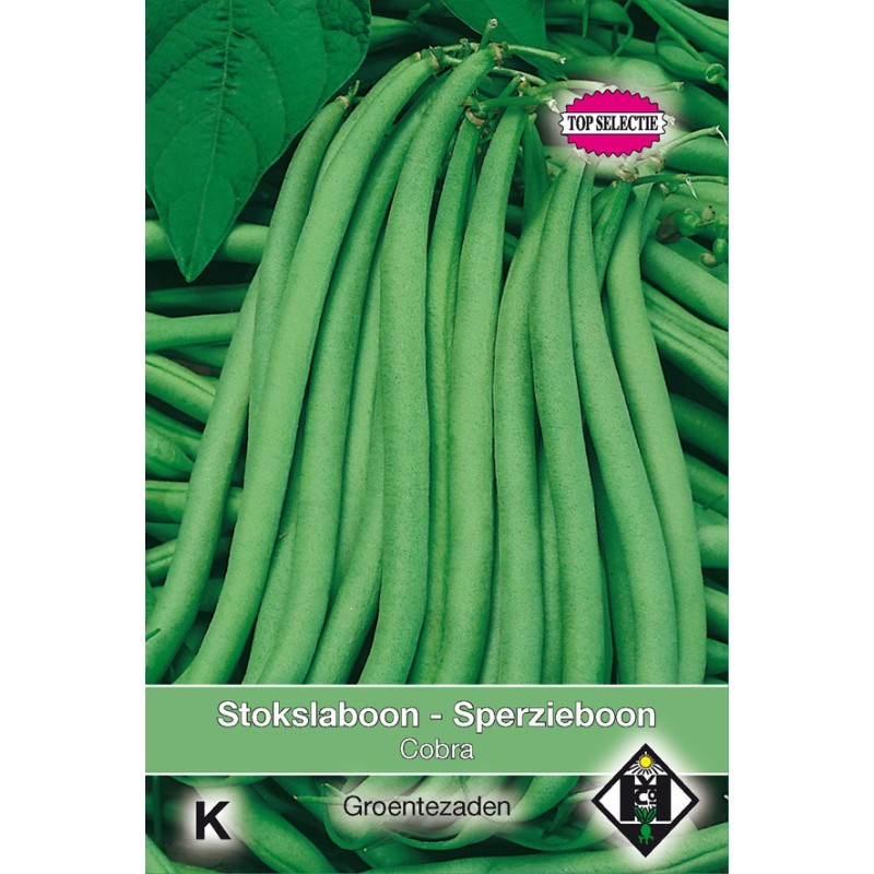 Stokslaboon - Sperzieboon, Phaseolus vulgaris 'Cobra', 30 gr. -zaden-