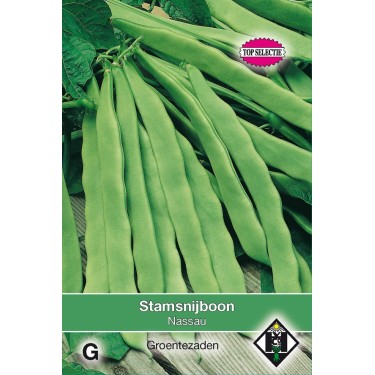 Stamsnijboon, Phaseolus vulgaris 'Nassau', 50 gr. -zaden-