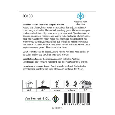 Stamsnijboon, Phaseolus vulgaris 'Nassau', 50 gr. -zaden-