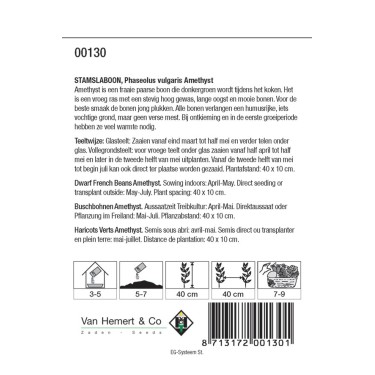 Stamslaboon, Phaseolus vulgaris 'Amethyst', 30 gr. -zaden-