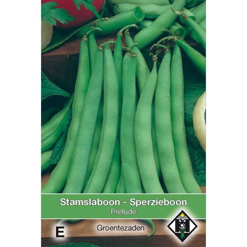Stamslaboon, Phaseolus vulgaris 'Prelude', 60 gr. -zaden-