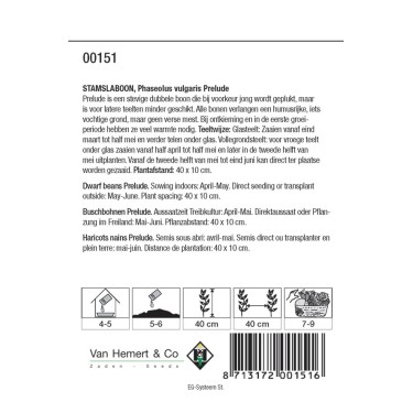 Stamslaboon, Phaseolus vulgaris 'Prelude', 60 gr. -zaden-