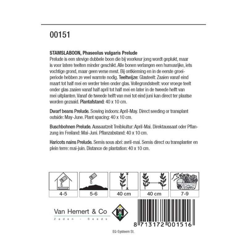 Stamslaboon, Phaseolus vulgaris 'Prelude', 60 gr. -zaden-