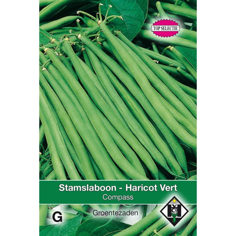 Stamslaboon - Sperzieboon, Phaseolus vulgaris Compass, 30 gr. -zaden-