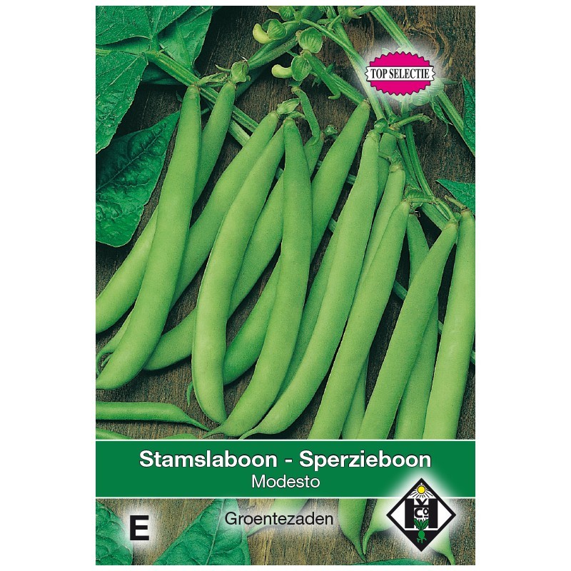Stamslaboon Modesto, 30 gr. -zaden-