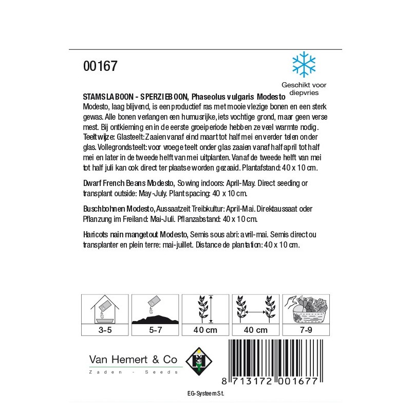 Stamslaboon Modesto, 30 gr. -zaden-