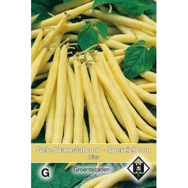 Stamslaboon - Sperzieboon, Phaseolus vulgaris 'Dior', 30 gr. -zaden-