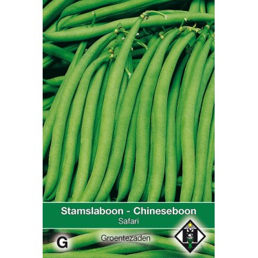 Stamslaboon, Phaseolus vulgaris 'Safari', 30 gr. -zaden-