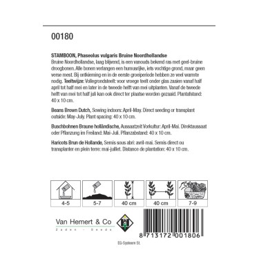 Stamboon - Bruine boon, Phaseolus vulgaris 'Bruine N.Hollandse' 30 gr. -zaden-