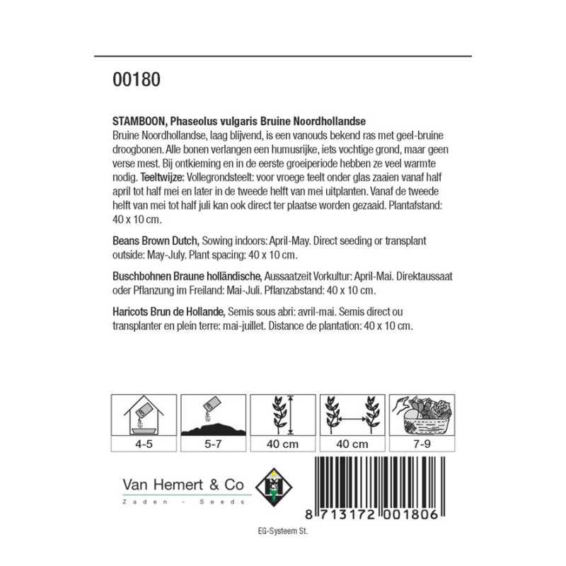 Stamboon - Bruine boon, Phaseolus vulgaris 'Bruine N.Hollandse' 30 gr. -zaden-