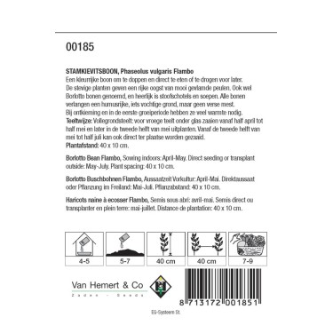 Stamkievitsboon 'Flambo' -zaden-
