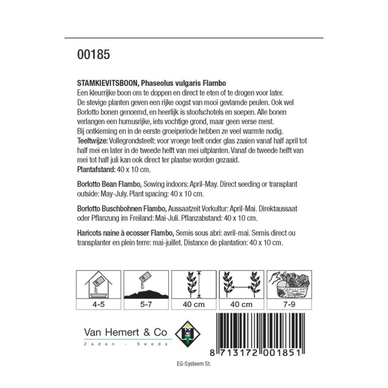 Stamkievitsboon 'Flambo' -zaden-