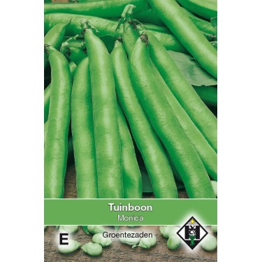 Tuinboon, Vica faba 'Monica', 60 gr. -zaden-