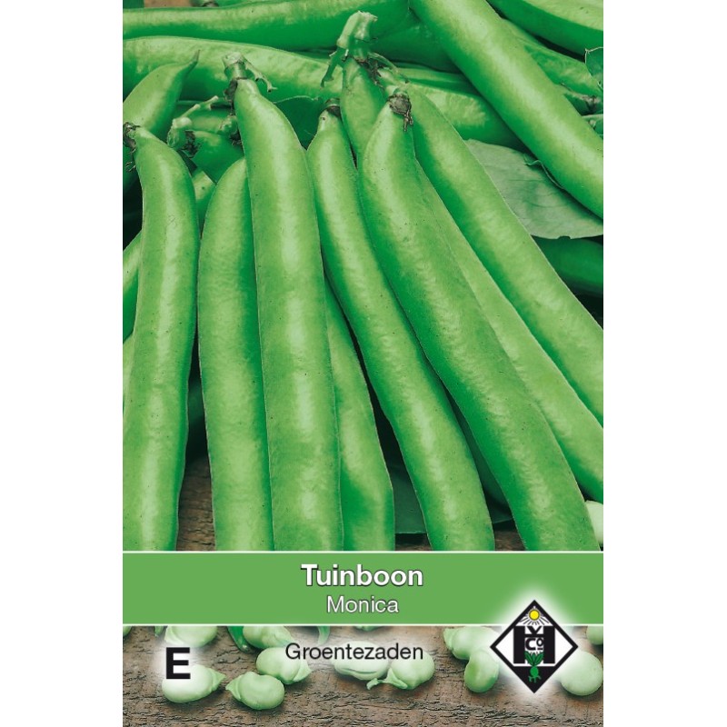 Tuinboon, Vica faba 'Monica', 60 gr. -zaden-