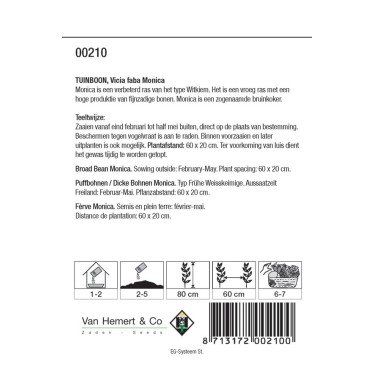 Tuinboon, Vica faba 'Monica', 60 gr. -zaden-