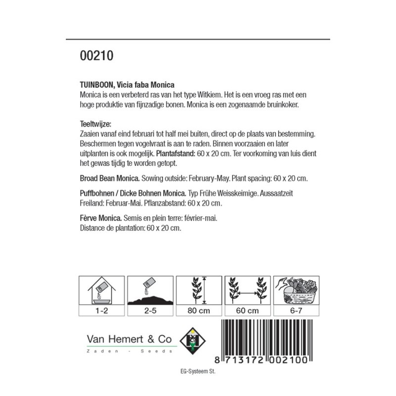 Tuinboon, Vica faba 'Monica', 60 gr. -zaden-