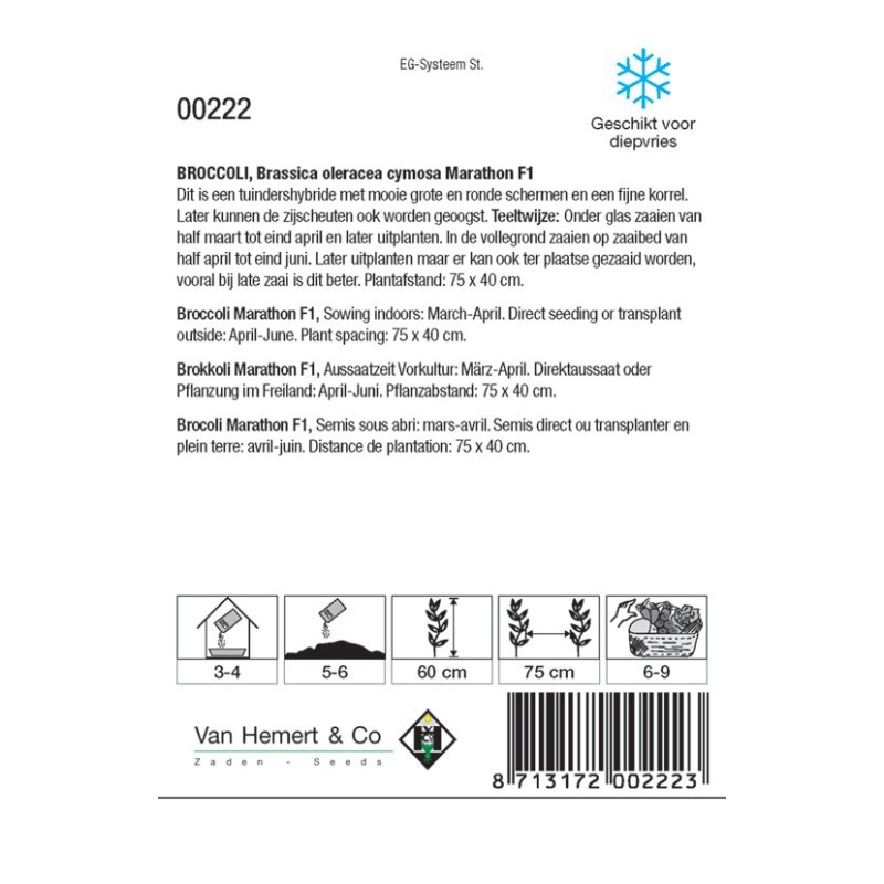 Broccoli, Brassica oleracea cymosa 'Marathon F1' -zaden-