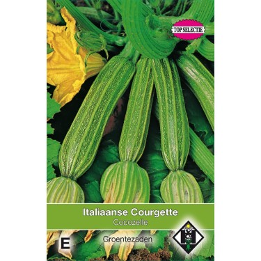 Courgette, Cucurbita pepo 'Cocozelle' -zaden-