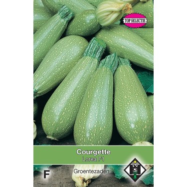 Courgette, Lorea F1 -zaden-