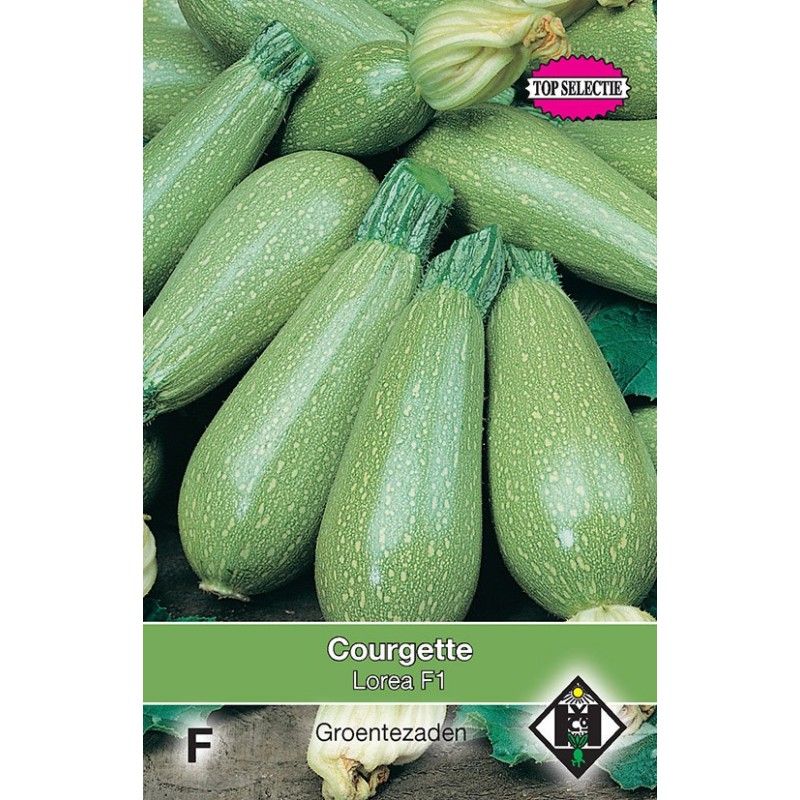 Courgette, Lorea F1 -zaden-