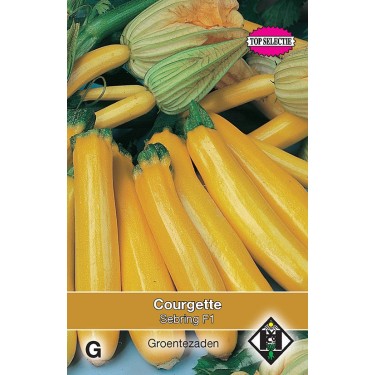 Courgette, Cucurbita pepo 'Yellowstar F1' -zaden-
