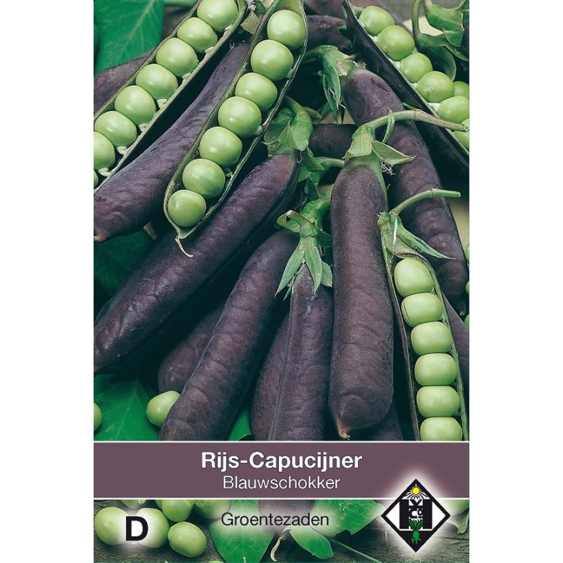 Rijscapucijner Pisum sativum 'Blauwschokker', 50 gr. -zaden-