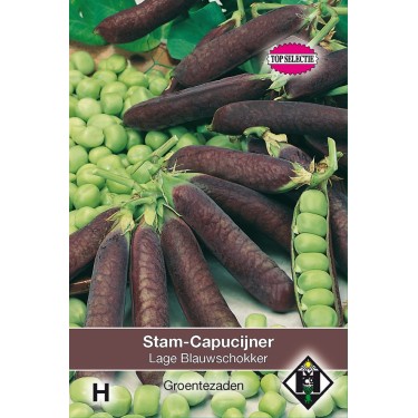 Stamcapucijner, Pisum sativum 'Lage Blauwschokker', 50 gr. -zaden-