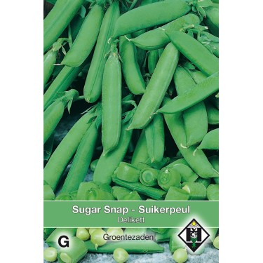 Sugar snap, Pisum sativum 'Delikett', 50 gr. -zaden-